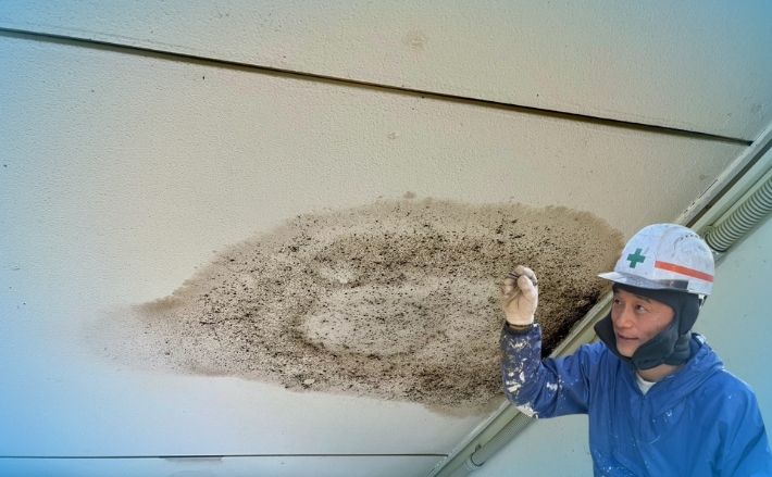 雨漏り修理に関する費用が膨らむ住まいに見られる共通点